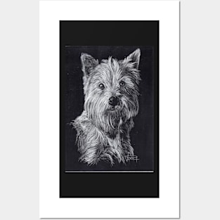 West Highland White Terrier Posters and Art